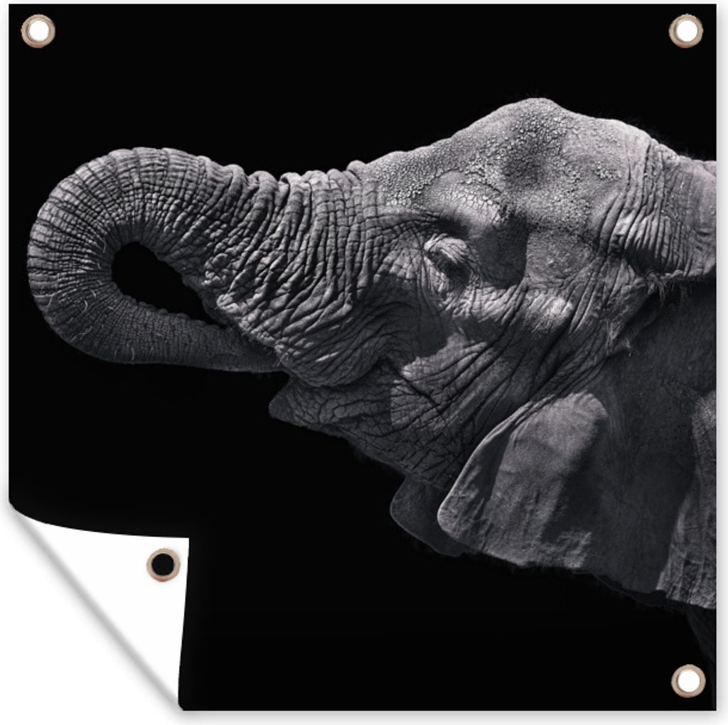 MuchoWow 100x100 cm Outdoor-Poster Gartendeko Sichtschutz Garten Poster für den Garten Elefant mit Rüssel im Mund in schwarz-weiß