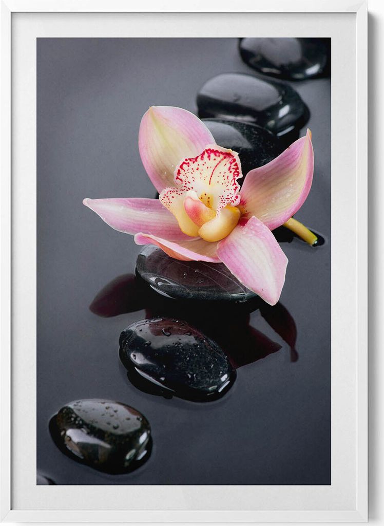 Blumen auf den Steinen im Wasser– Wandbild mit Rahmen – Gerahmtes Bild – Wanddekoration – 70x100 cm – Weiß Rahmen