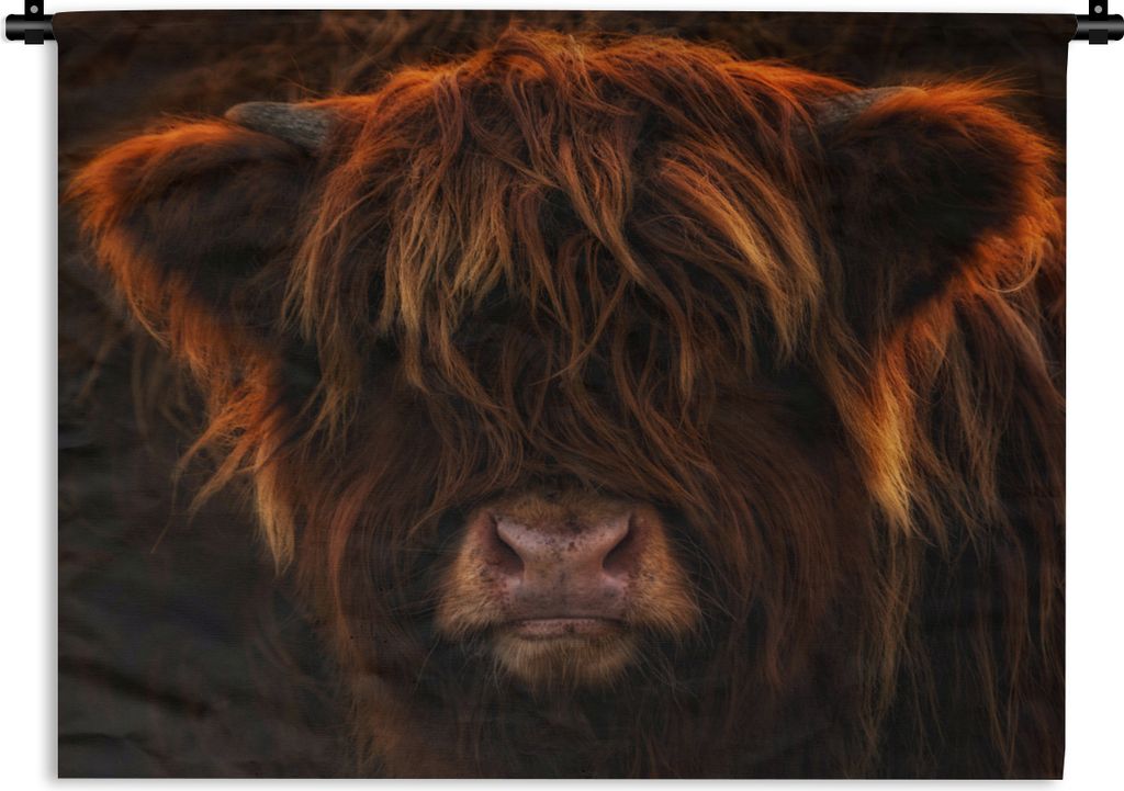 MuchoWow Wandteppich Wandbehang Schottischer Highlander - Kuh - Schwarz - Porträt 150x112.50 cm Tapisserie Dekoration Wandtuch - Wanddecke - Wan...