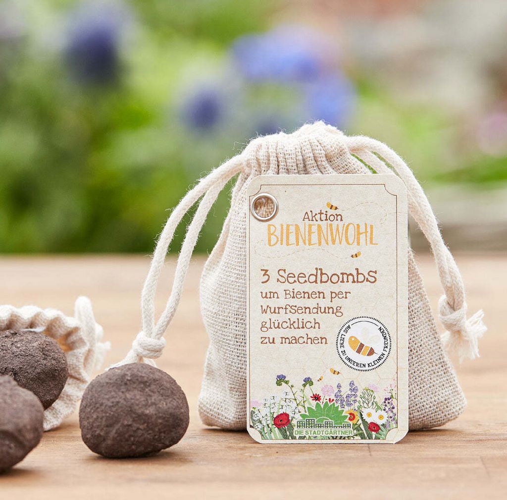 Die Stadtgärtner – Seedbombs 'Bienenwohl' I 3 handgemachte Samenbomben mit bienenfreundlichem Saatgut I 100% ökologisch & mindestens 2 Jahre ha...