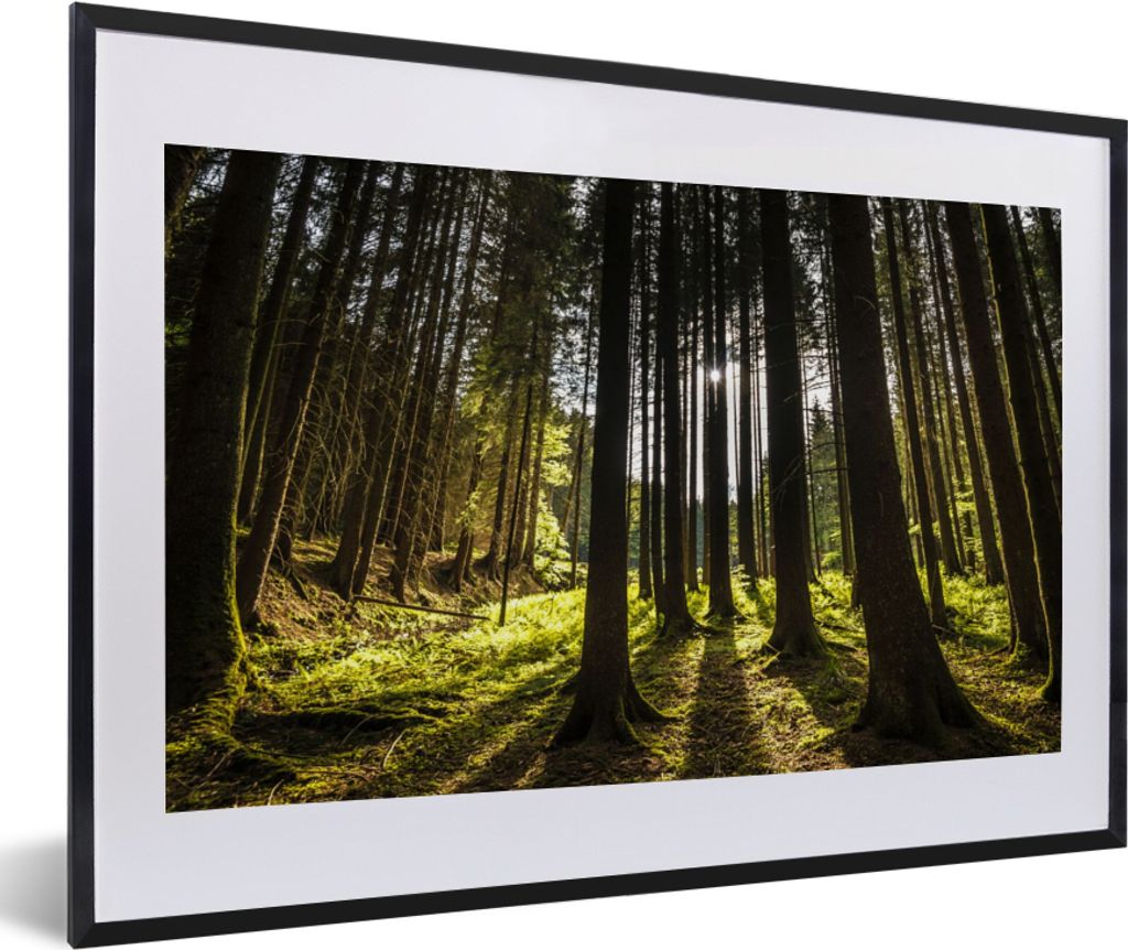 MuchoWow Gerahmtes Poster Baum - Natur - Sonne - Wald 60x40 cm - Poster mit Schwarzem Bilderrahmen Wandposter Rahmen Foto Bilder - Schlafzimmer -...