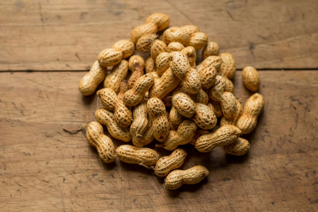 Futterbauer 10 kg  Erdnusskerne !!IN DER SCHALE!!  Produktbild 