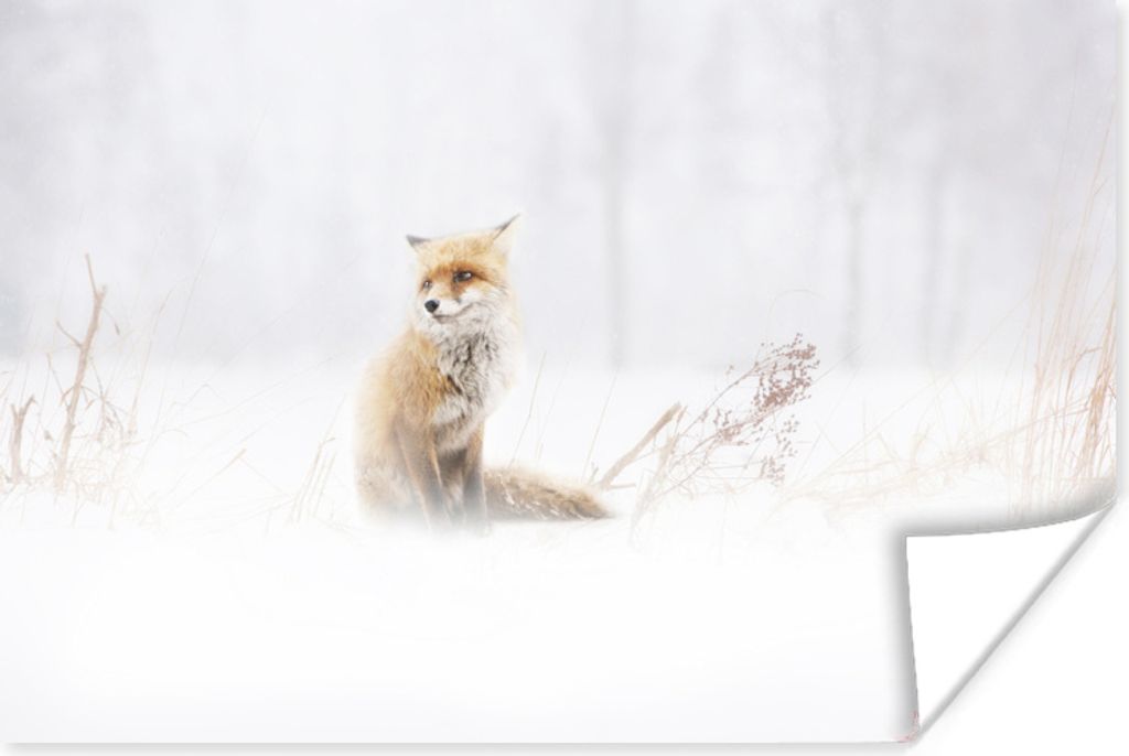 MuchoWow Poster Fuchs - Winter - Schnee 60x40 cm - Schlafzimmerdekoration