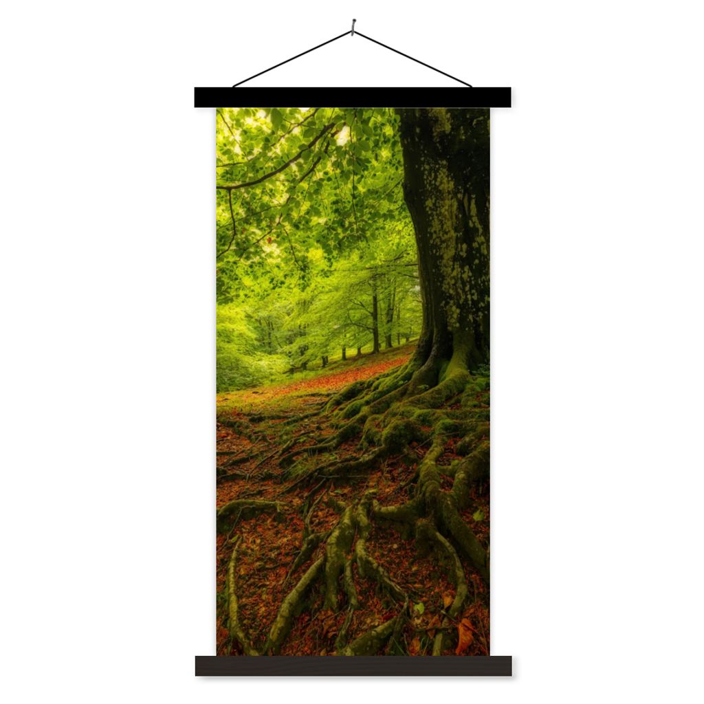 MuchoWow Textilposter Baum - Wald - Herbstblätter 60x120 cm mit schwarzem Rahmen - Magnete