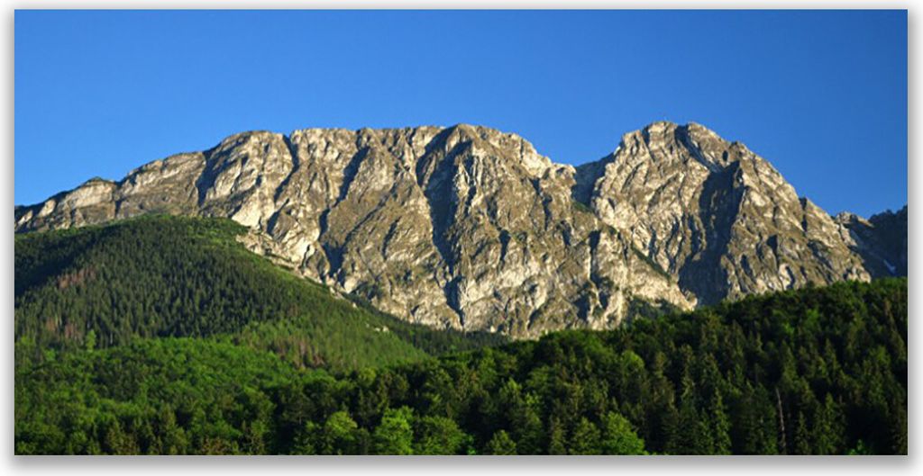 Tulup Leinwand-Bilder 140x70 Wandbild Canvas Kunstdruck Gebirge Wald Natur