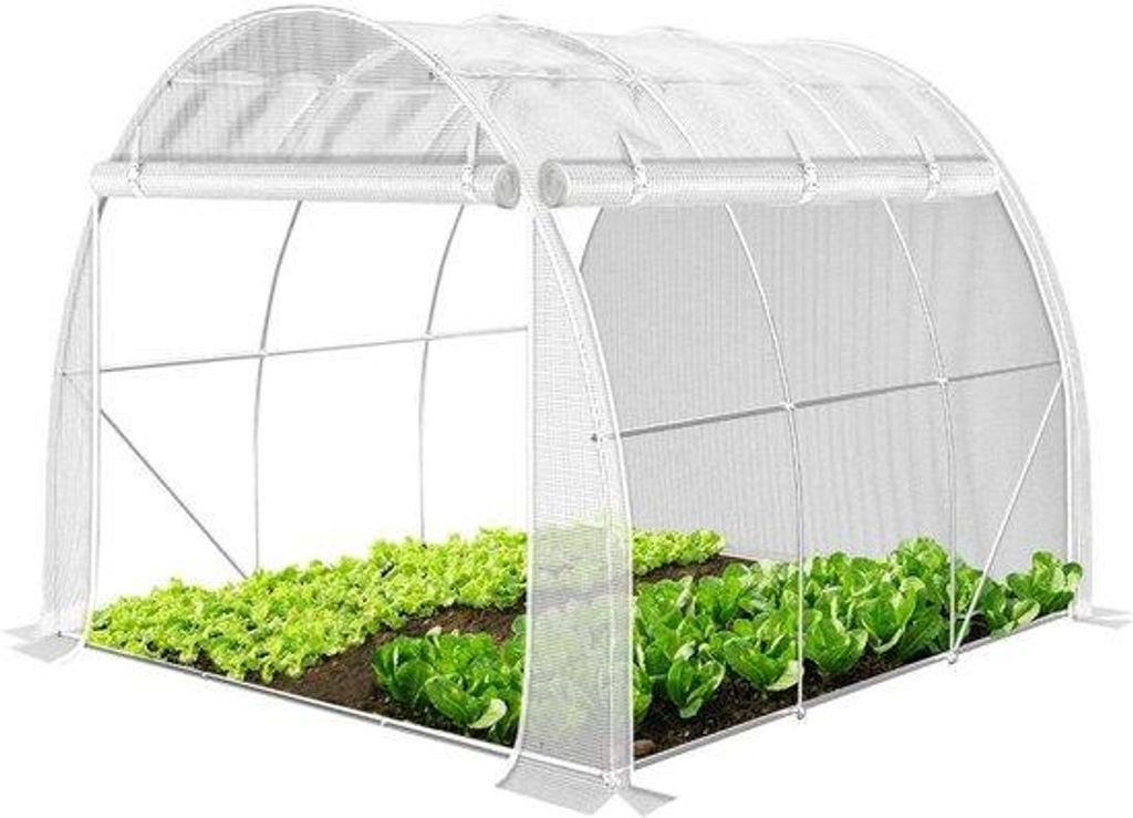 Winterresistente Tomatenhauswand Foil-Tunnel 3x2m Grün-Weiß