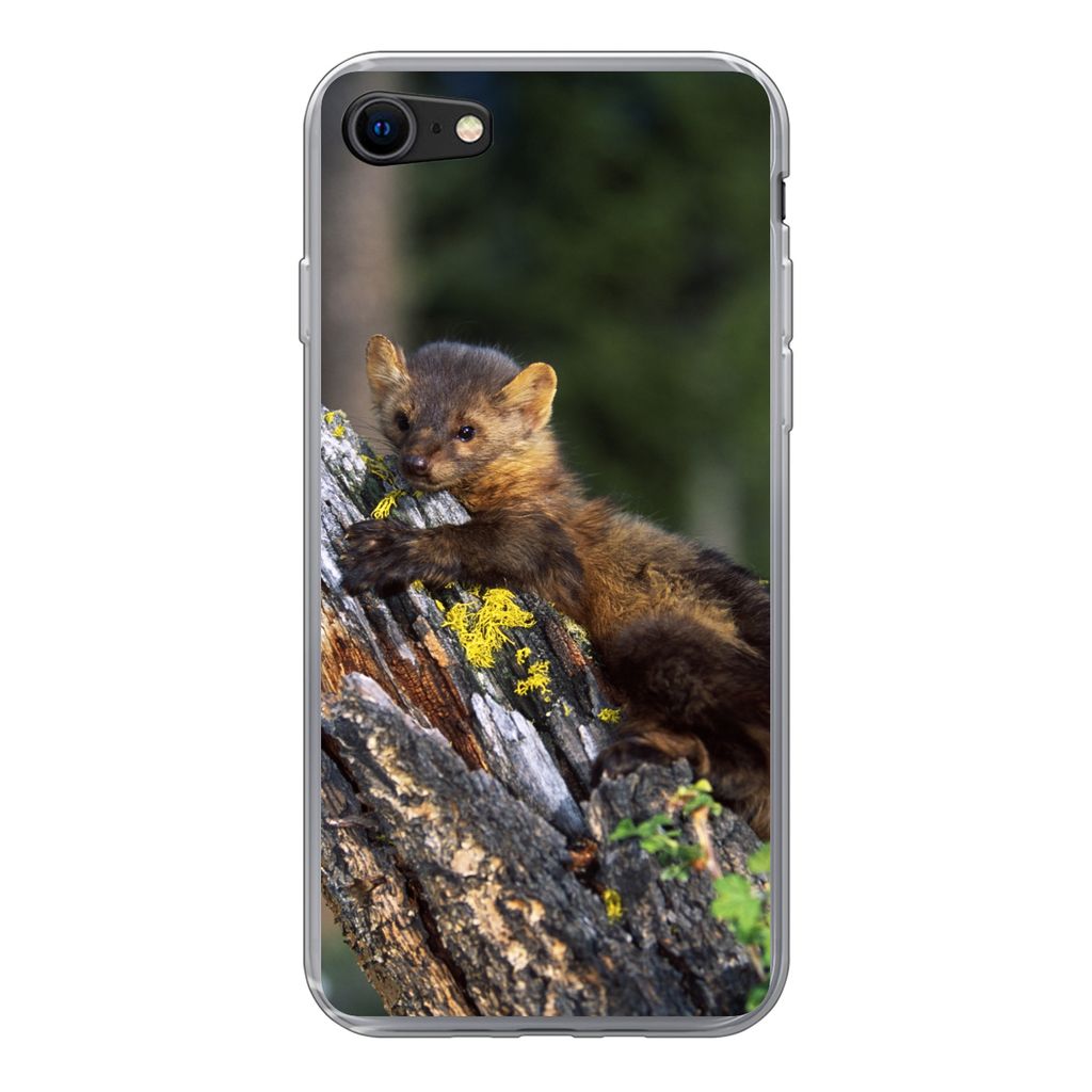 MuchoWow Handyhülle Schutzhülle Hülle für iPhone SE 2020 Marder - Baum - Wald Silikon Softcase Handy Hülle - Kartenbesitzer