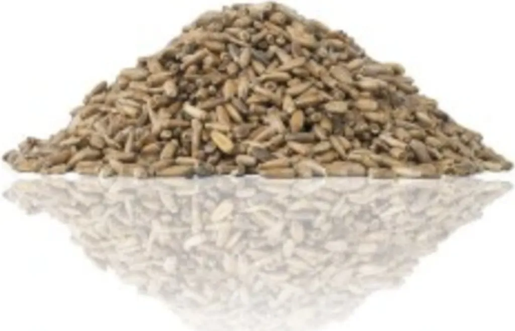 Semi di Cardo TIVO per Pappagalli - Benessere Naturale 100g