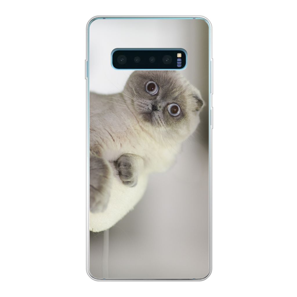 MuchoWow Handyhülle Schutzhülle Hülle für Samsung Galaxy S10 Lite Katze - Tier - Wohnzimmer Silikon Softcase Handy Hülle - Schutz