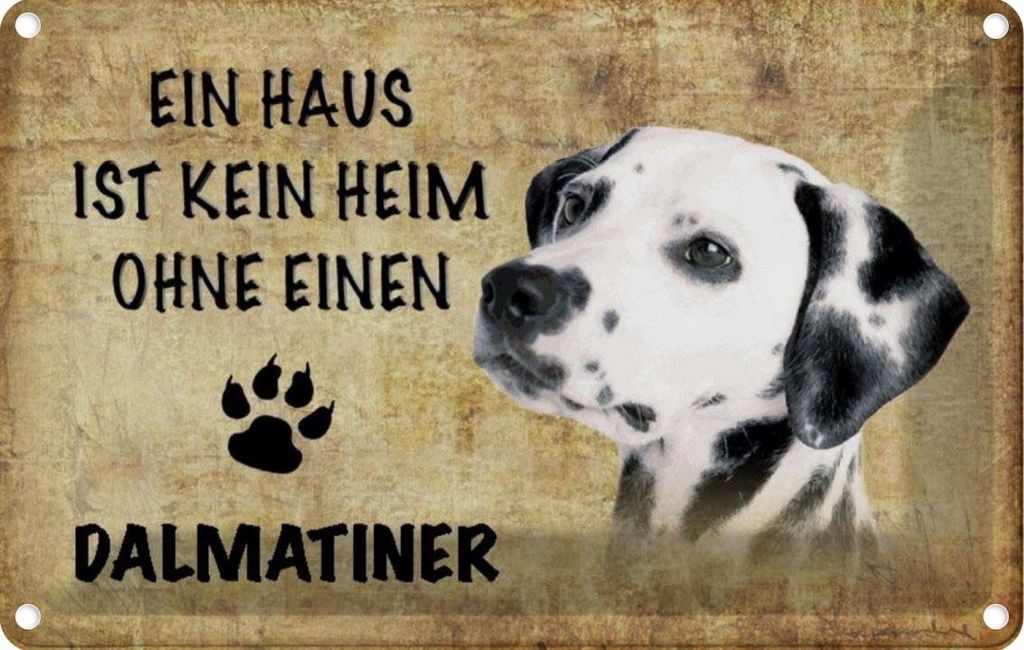 vianmo Blechschild 20x30 cm Dalmatiner Hund ohne kein Heim Tier Haustier