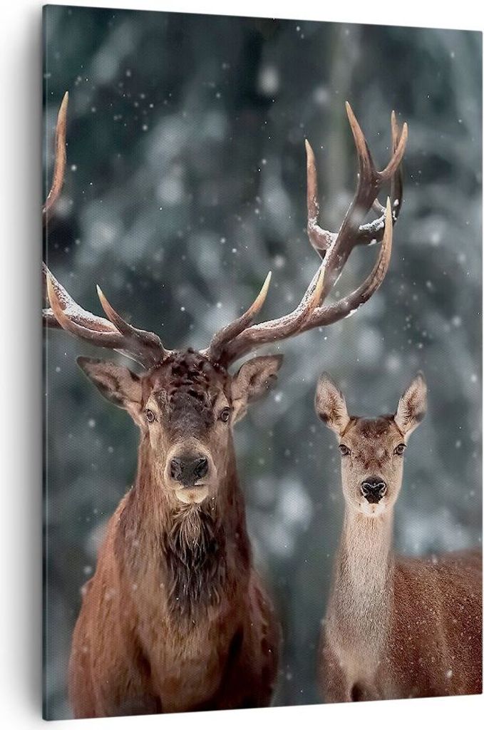 Bild auf Leinwand - Leinwandbild - Einteilig - Hirsch Rentier Reh - 70x100cm - Wand Bild - Wanddeko - Wandbilder - Leinwanddruck - Wanddekoration -...