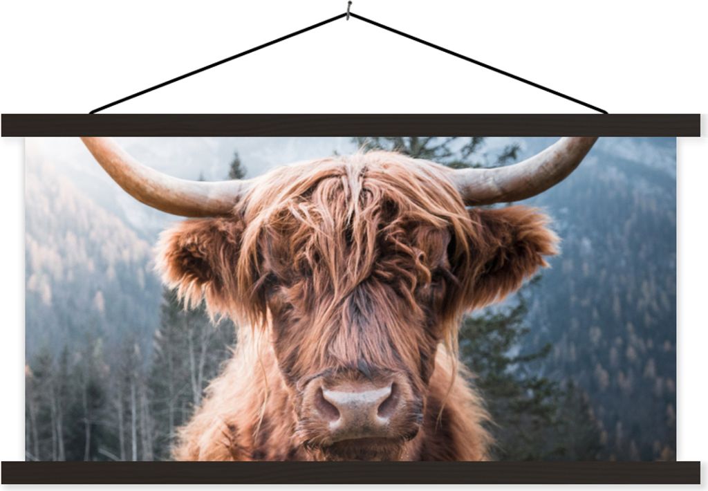 MuchoWow Textilposter Schottisches Hochlandrind - Tiere - Wald 150x75 cm mit schwarzem Rahmen - Posterleiste