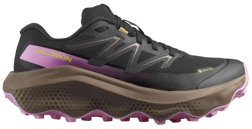 Schuhe Salomon 478844