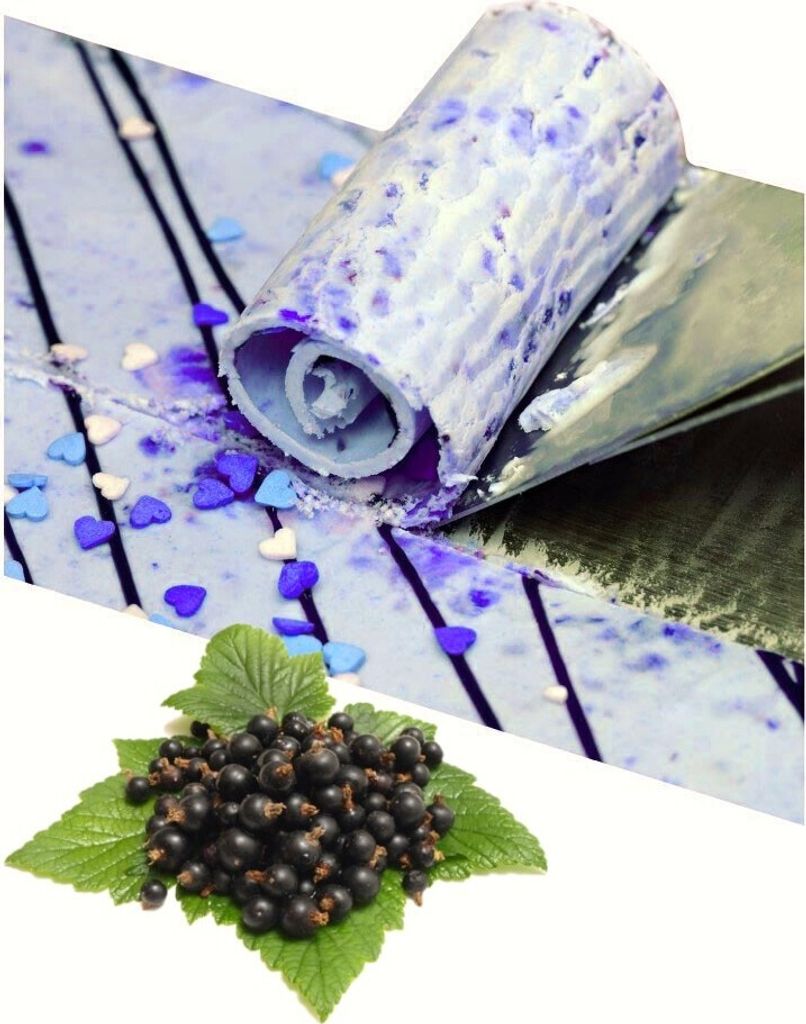 Schwarze Johannisbeere Rolleis Pulver 10 kg