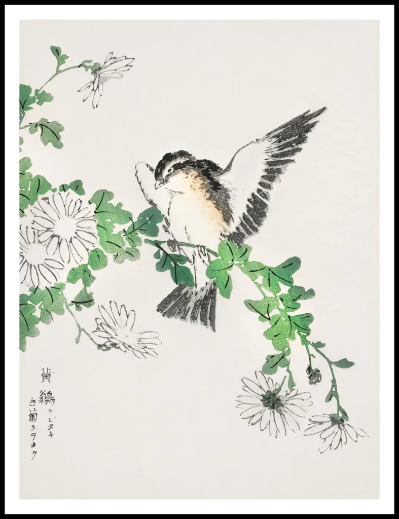 Poster Grande 75x100cm Flycatcher Kashu - Qualità Professionale