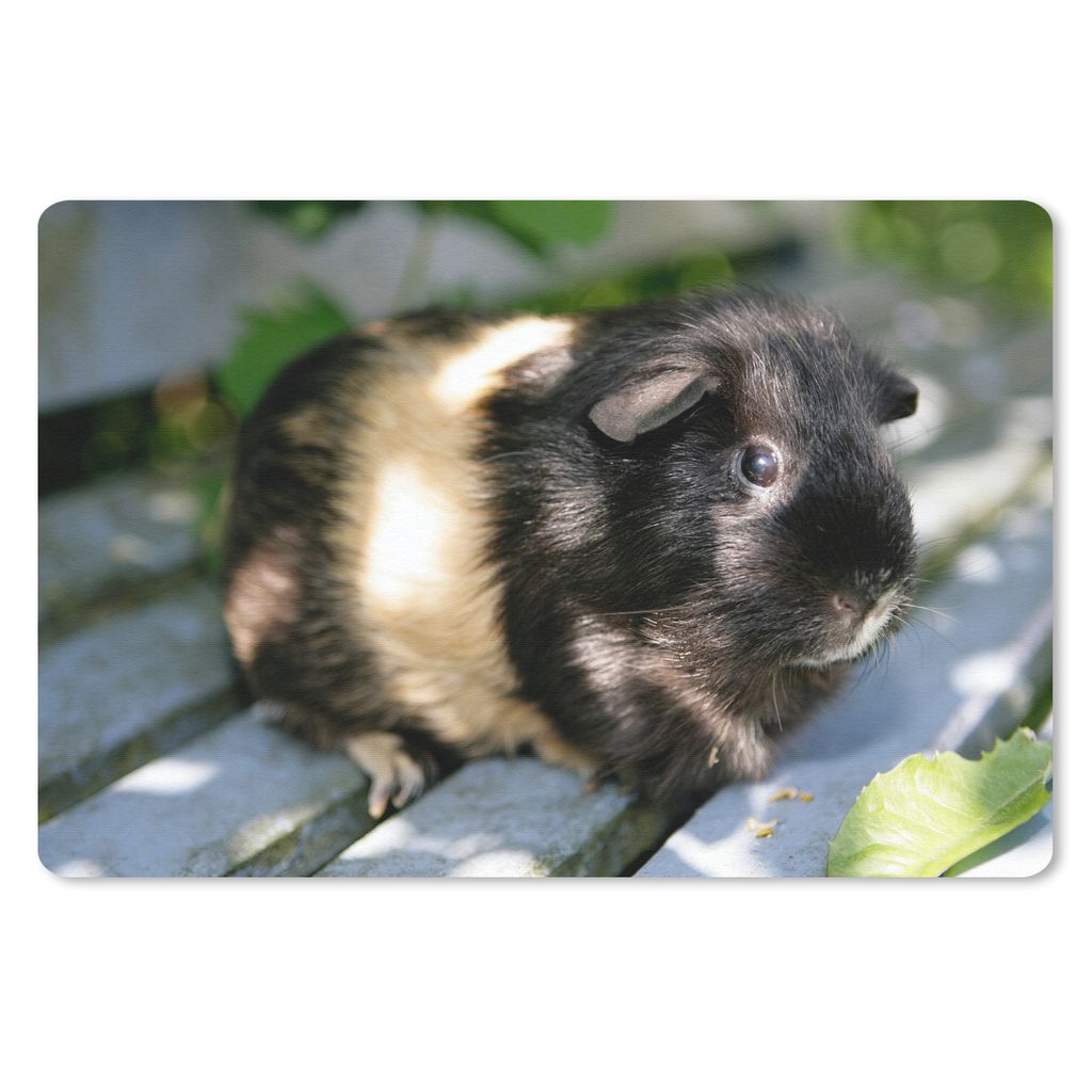 MuchoWow Schreibtischunterlage Meerschweinchen im Garten 60x40 cm - XXL Mauspad - Großes Mauspad