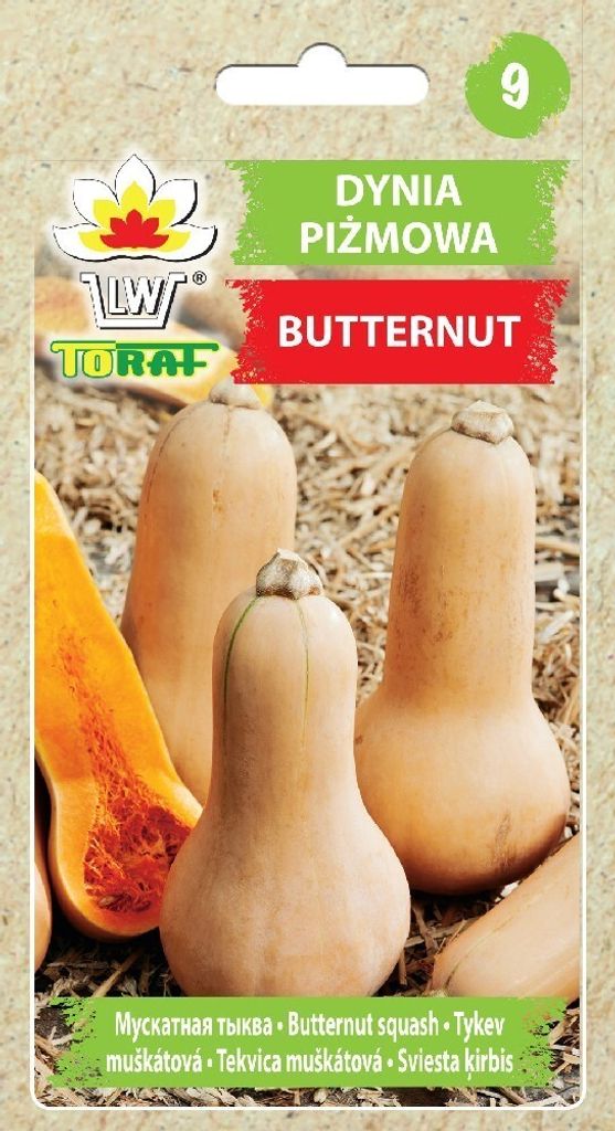 Butternusskürbis Cucurbita Moschata Feines Aroma Kürbiskerne 5G