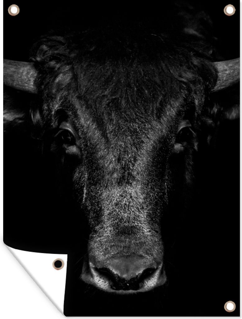 MuchoWow 60x80 cm Outdoor-Poster Gartendeko Sichtschutz Garten Poster für den Garten Taurus - Tiere - Schwarz - Weiß