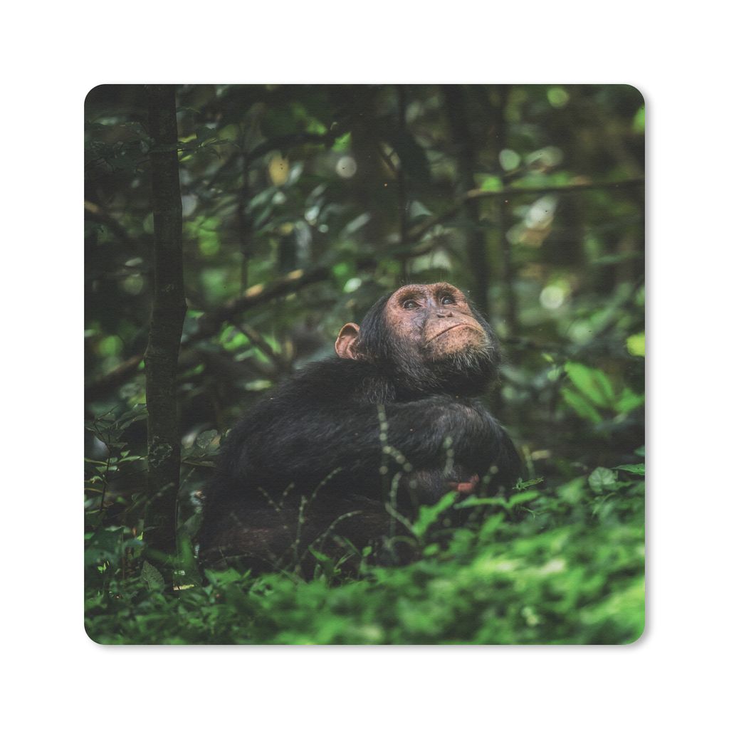 MuchoWow Mauspad Mousepad App zwischen Grünpflanzen im Dschungel 30x30 cm - Mousepads - Maus Mat - Pad - Mausunterlage - Gaming