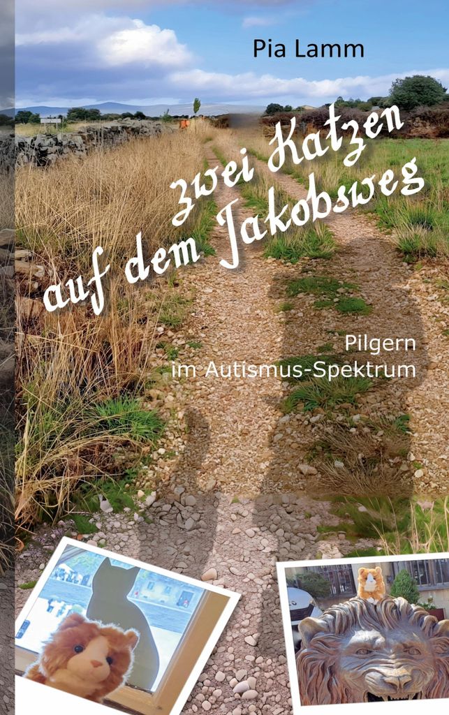 Zwei Katzen auf dem Jakobsweg, Deutsch, Taschenbuch, 96 Seiten