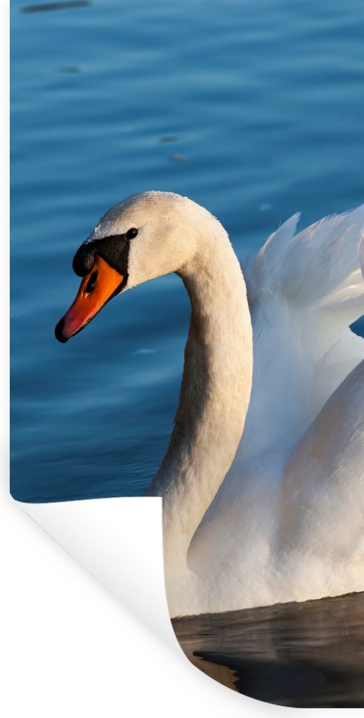 MuchoWow Wandtattoo Wandsticker Wandaufkleber Schwan - Wasser - Vogel - Weiß 80x160 cm Selbstklebend und Repositionierbar - Sticker - Dekorfolie