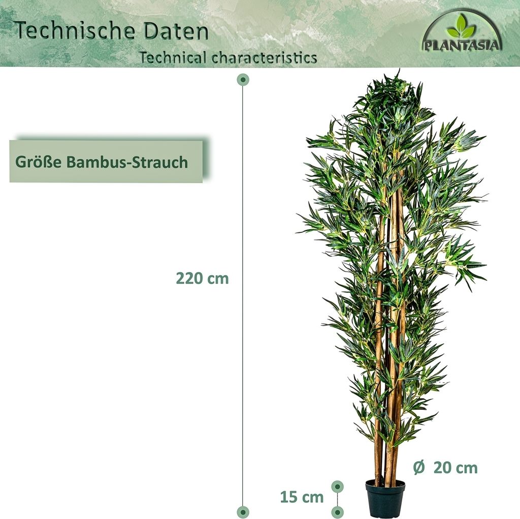 kirschlorbeer pflege im topf Portugiesischer Kirschlorbeer (120-150cm) im groem 15L Topf