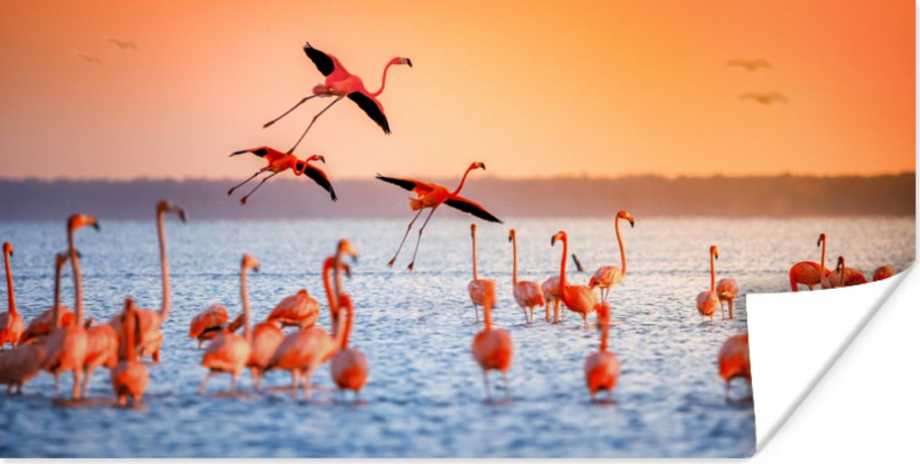 MuchoWow Poster Vogel - Flamingo - Wasser - Sonnenuntergang - Rosa 40x20 cm - Poster für die Wand - Poster Schlafzimmer