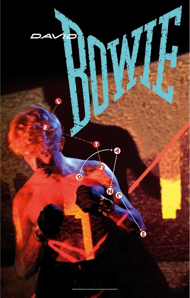 Poster David Bowie en Tissu Inusable - Fini les Affiches Papier Déchirées