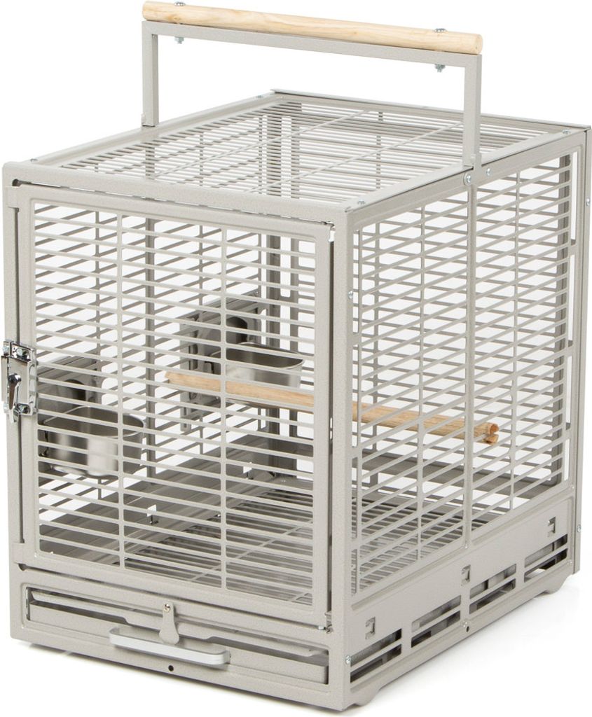 Parrot Träger Montana EVO hell