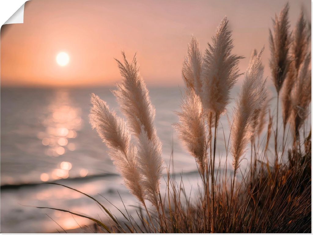 ARTland Poster Küstenträume im Abendwind Größe: 80x60 cm