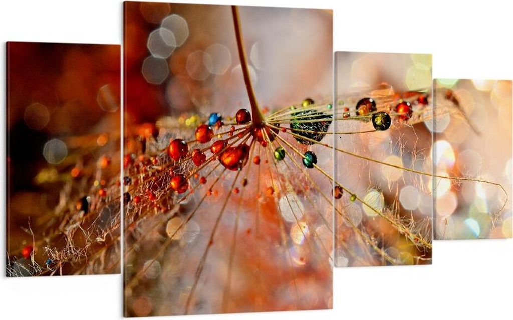 Bild auf Leinwand - Leinwandbild - Spinnennetz modern - 160x90cm - Wand Bild - Wanddeko - Leinwanddruck - Bilder - Kunstdruck - Wanddekoration - Le...