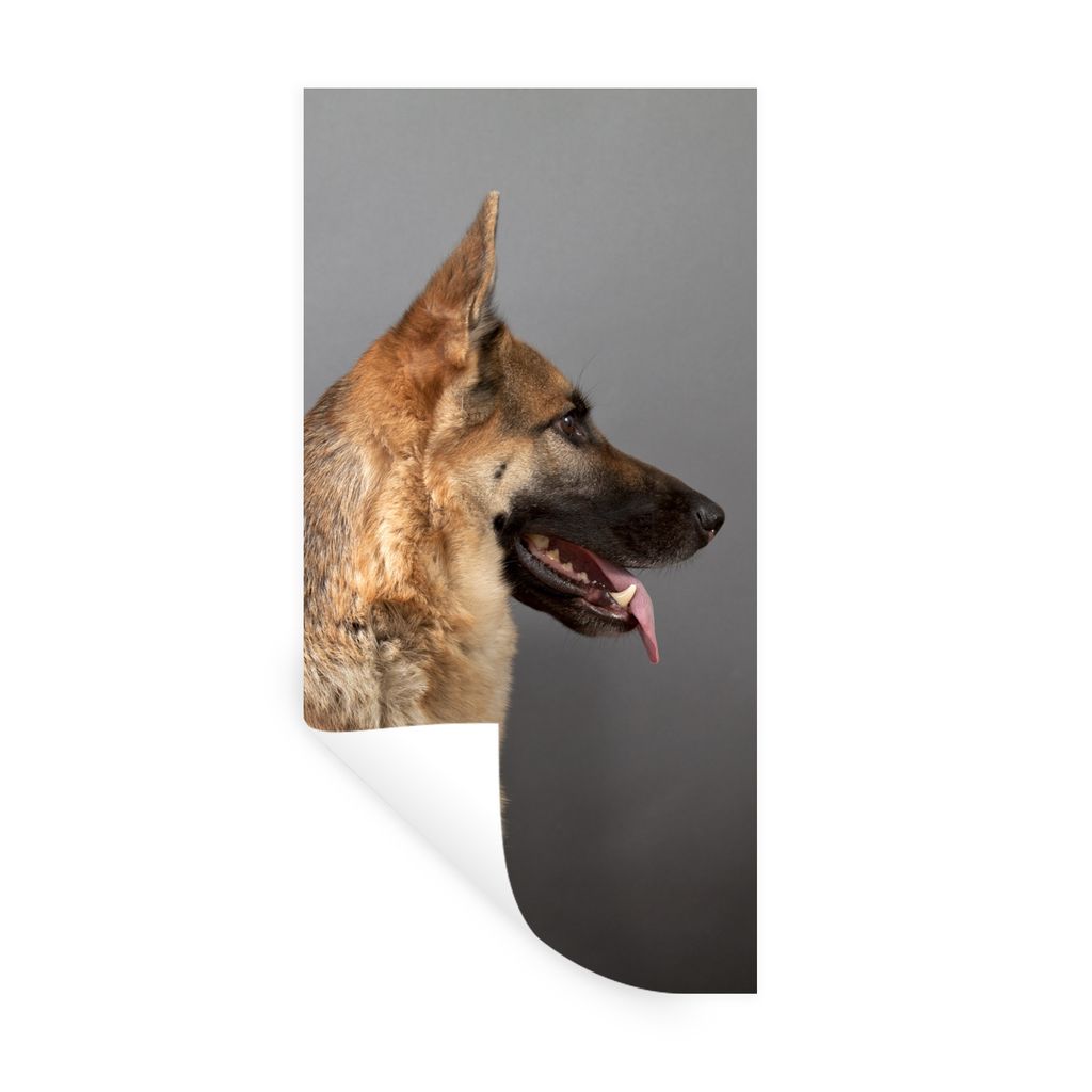 MuchoWow Wandtattoo Wandsticker Wandaufkleber Seitenansicht eines Deutschen Schäferhundes 20x40 cm Selbstklebend und Repositionierbar - Selbstkl...