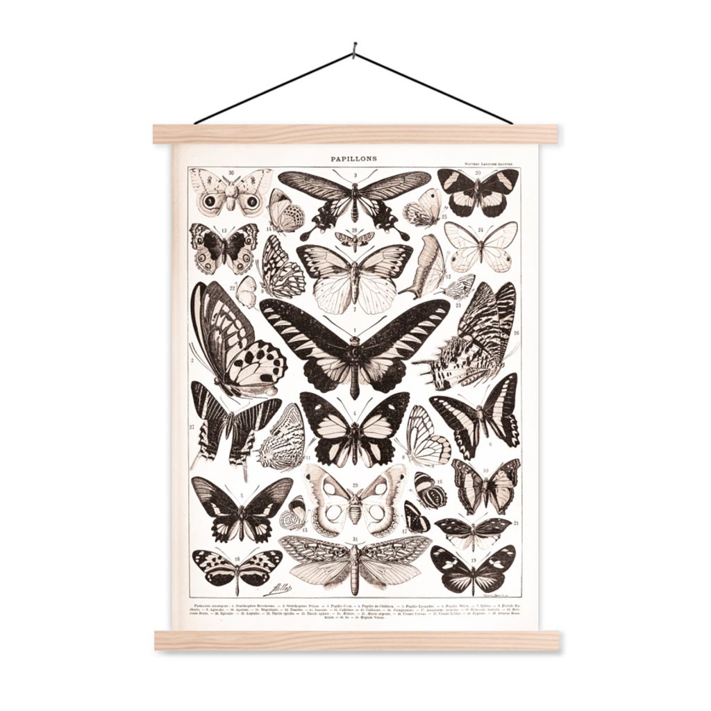 MuchoWow Textilposter Schmetterling - Tiere - Schwarz - Weiß 40x53 cm mit holzfarbenen Rahmen - Schlafzimmer