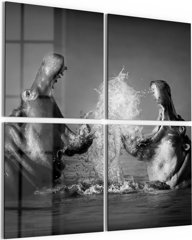 DEQORI Glasbild Echtglas 4x50x50 cm 'Begegnung im Fluss' Wandbilder XXL groß