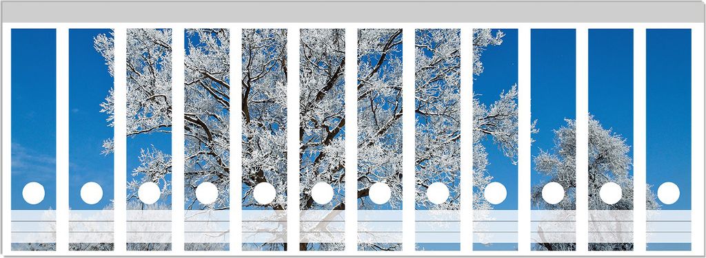 Wallario Ordnerrücken Sticker, selbstklebend für breite Ordner, 12 Stück, Motiv Schneebedeckter Baum mit blauen Himmel