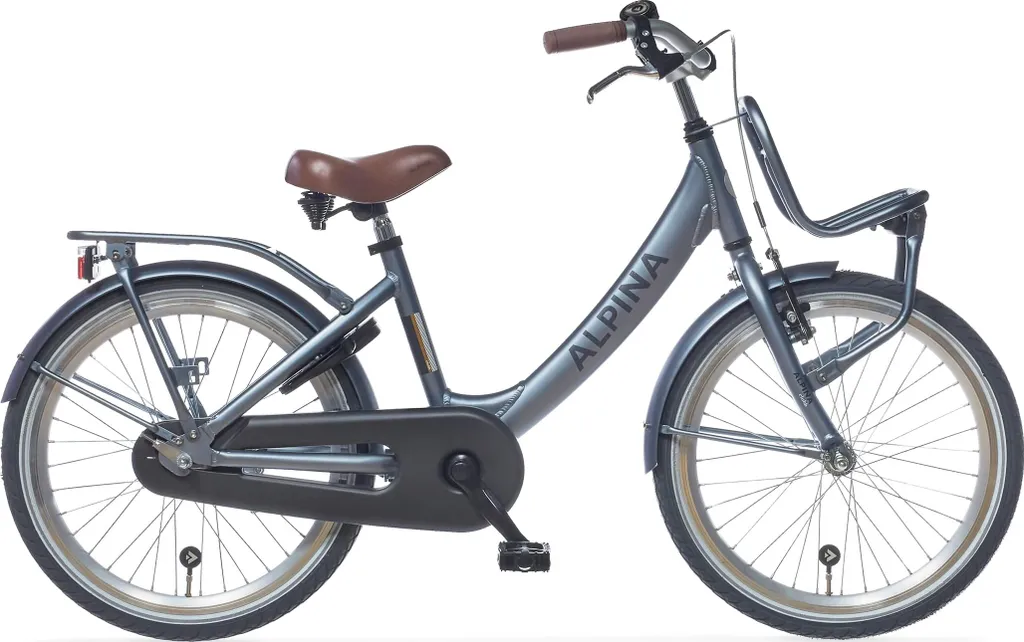 Alpina Clubb M22 : Le Vélo Enfant 22 Pouces Robuste sans Entretien