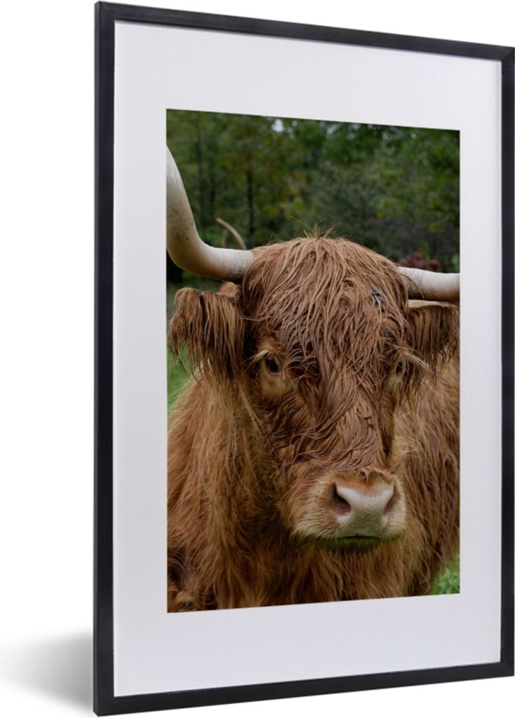 MuchoWow Gerahmtes Poster Schottische Highlander - Tiere - Gras 40x60 cm - Poster mit Schwarzem Bilderrahmen Wandposter Rahmen Foto Bilder - Post...