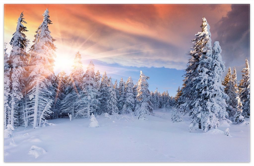 Wallario Premium Teppich, Größe 90 x 140 cm, Sonnenaufgang über einen Winterwald