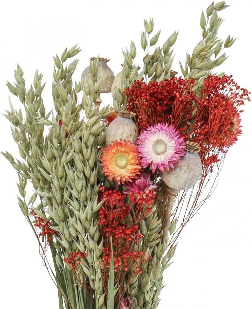 Trockenblumenstrauß Wiesenblumen Deko Natur Rot Orange Grün Gelb Hafer Mohnkapseln 50cm 150g