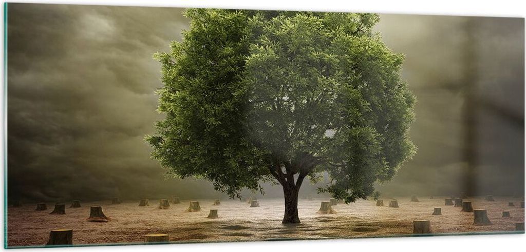 Bilder auf glas - Baum Feld Umwelt - 100x40cm - Glasbilder - Wandbilder - Kunstdruck - zum Aufhängen bereit - Wanddekoration aus Glas - Glas Bilde...