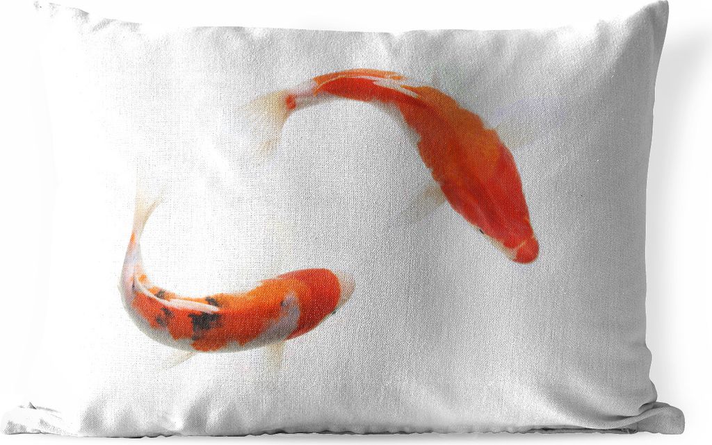 MuchoWow Outdoor Kissen - Koi-Karpfen vor einem weißen Hintergrund - 60x40 cm - Wetterfest - Lounge Kissen - Zierkissen - Kissen für Innenräume