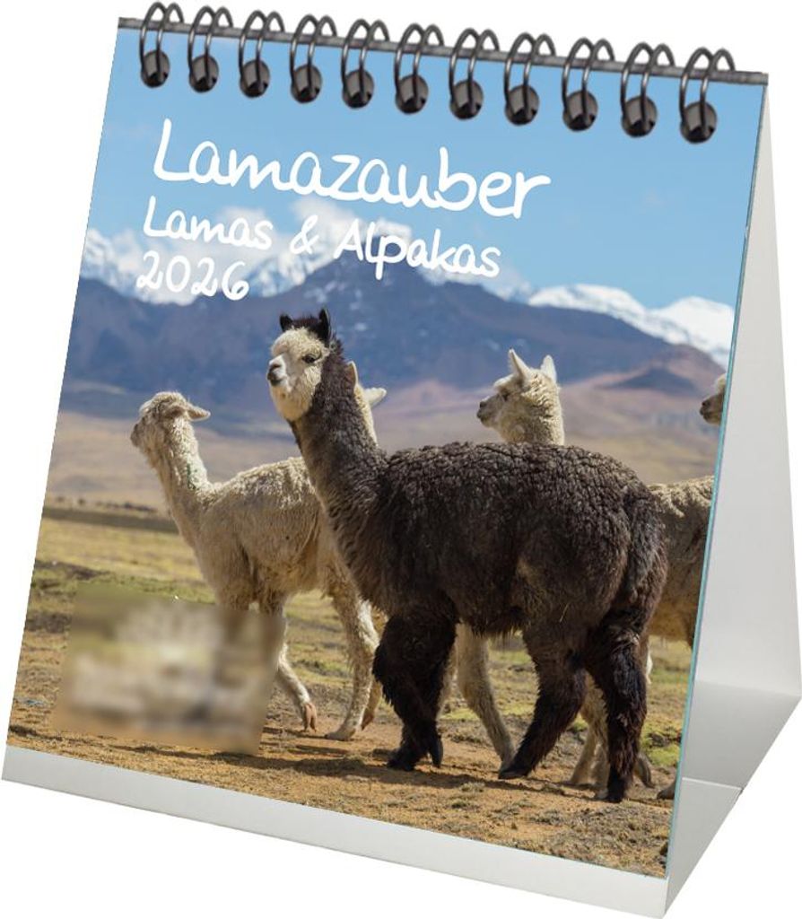 Lamazauber Tischkalender 10cm x 10cm für 2026 Lama Alpaka - Geschenkset Inhalt: 1x Kalender 1x Weihnachtsanhänger 1x Grußanhänger (gesamt 3 Teile)