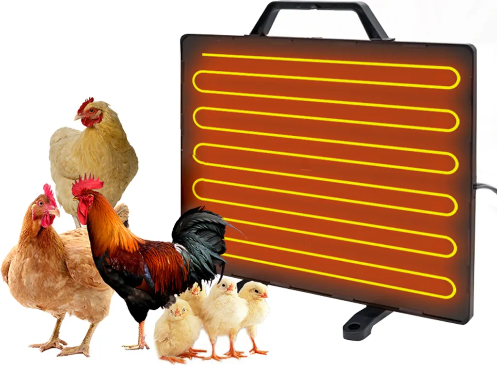 Chauffe-poules inox 160W réglable : chauffage d'hiver haute précision