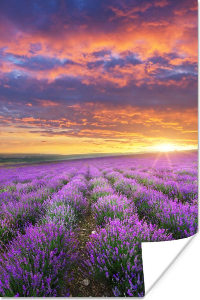 MuchoWow Poster Lavendel - Wolken - Frühling 40x60 cm - Plakate für die Wand - Poster Babyzimmer