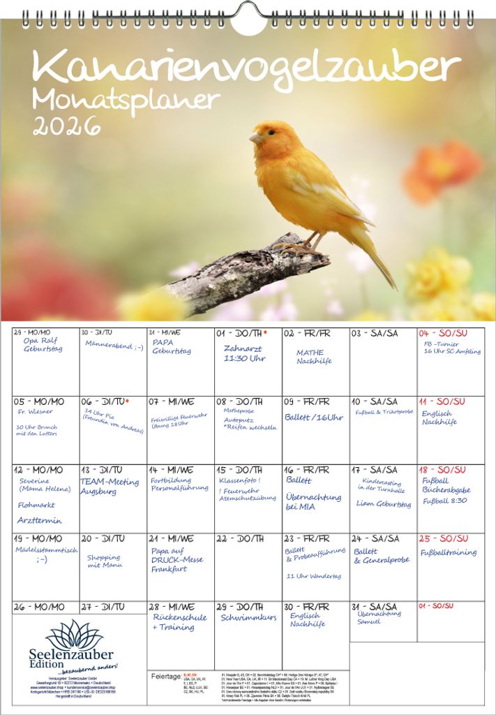 Kanarienvogelzauber Planer DIN A3 Kalender für 2026 Kanarienvögel - Seelenzauber