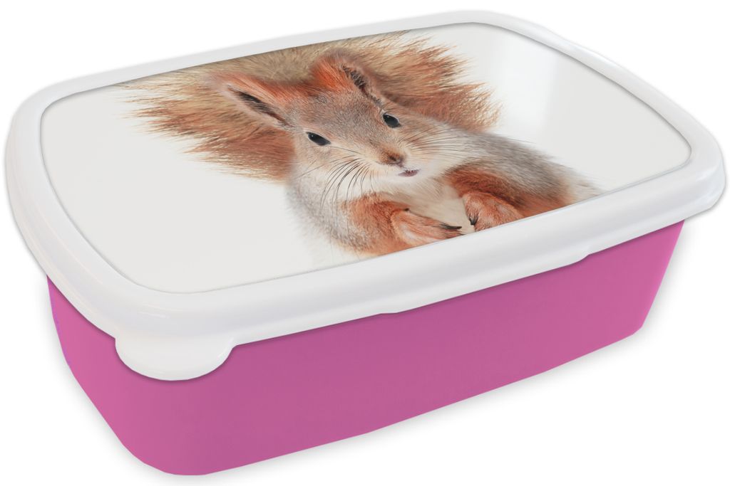 KitchenYeah Lunchbox Brotzeit Brotdose 17x11 cm Eichhörnchen - Tiere - Natur - Orange - Weiß Kinder Brotzeitdose - Lunchpaket - Brotkasten - S...