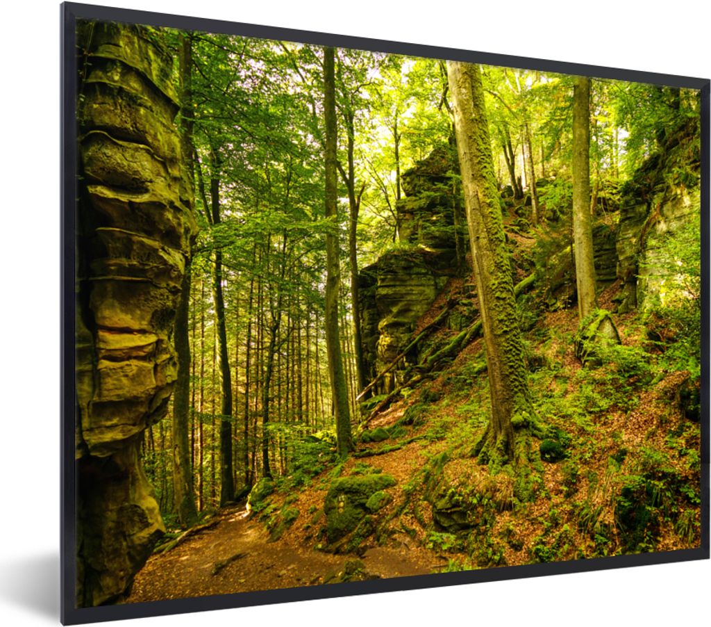 MuchoWow Gerahmtes Poster Bäume - Stein - Wald - Natur - Pflanzen 40x30 cm - Poster mit Schwarzem Bilderrahmen Wandposter Rahmen Foto Bilder - K...
