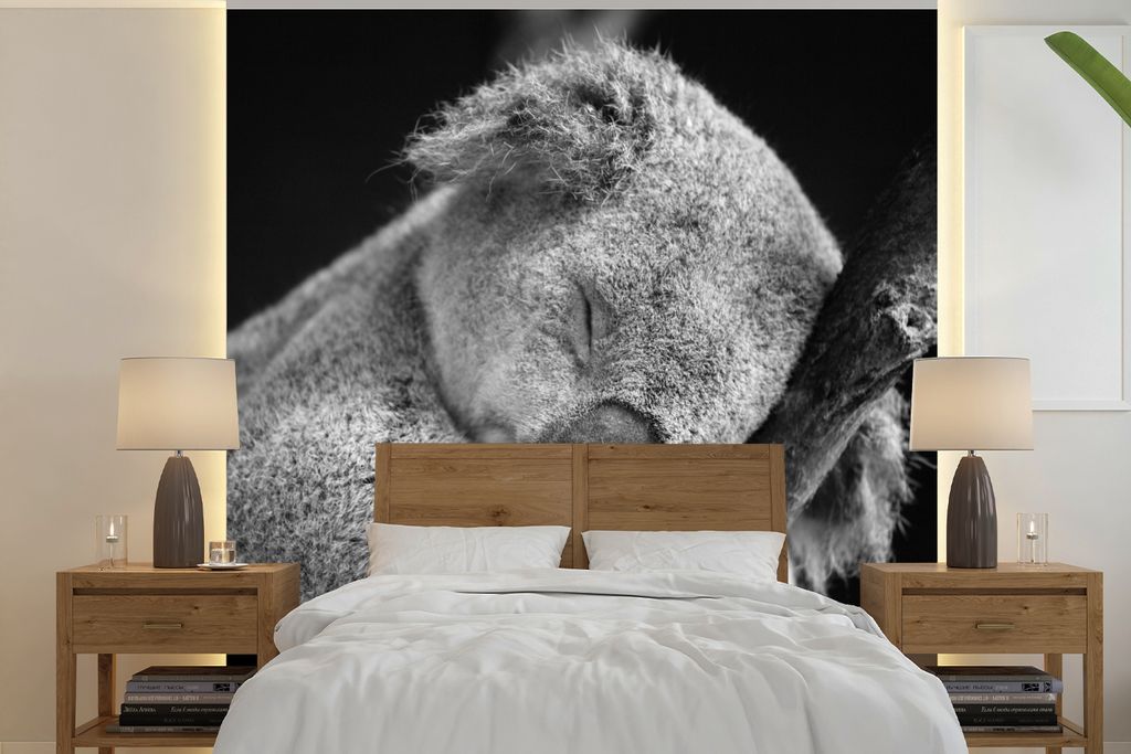 MuchoWow Fototapete für Wohnzimmer oder Schlafzimmer Wandtapete Vinyl Motivtapete Schlafender Koala auf schwarzem Hintergrund - 240x240 cm - Sch...
