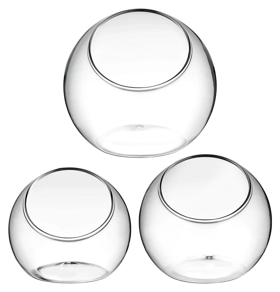 3 Stück Glas-Terrarium-Pflanzenhalter Schräg Geschnittener Pflanztopf Klarglasvase Sukkulentenhalter Tischdekoration Dekorative Behälterschale F...
