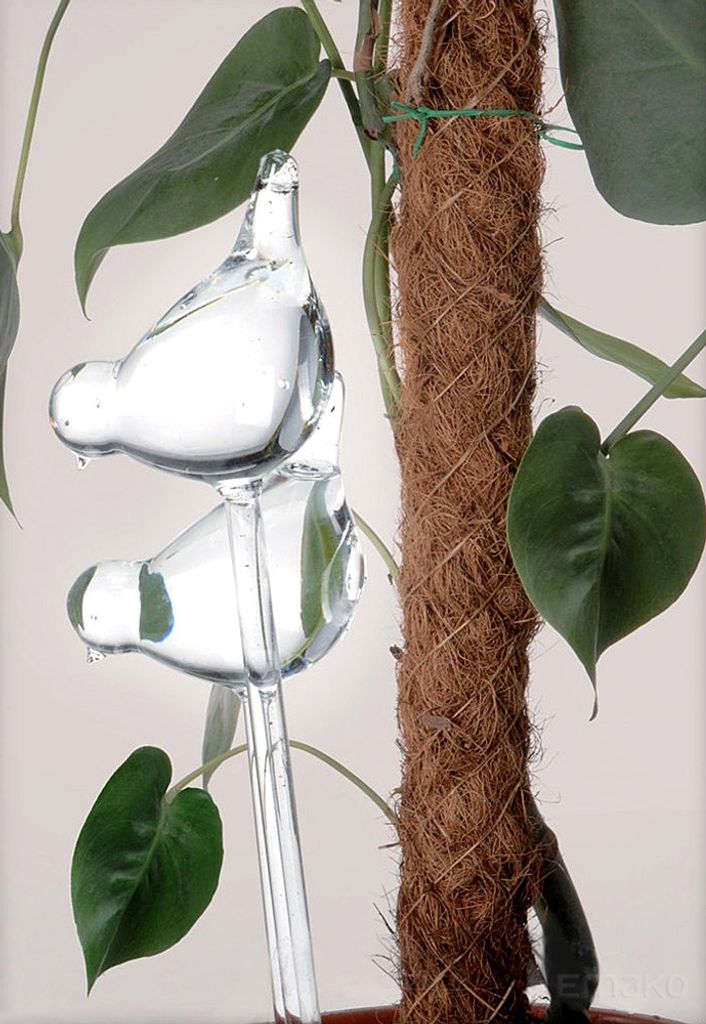 Blumenbewässerungsgerät 2er-Set. Produktbild 